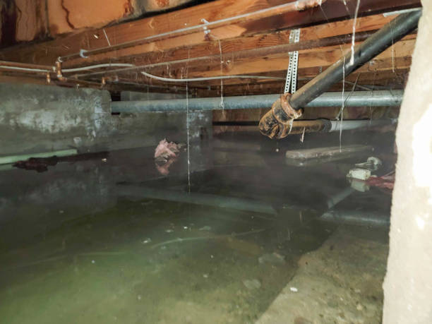Best Commercial water damage restoration  in Bear Creek Ranch, TX