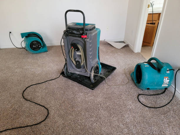 Best Water damage restoration near me  in Bear Creek Ranch, TX