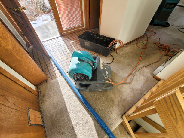 Best Water damage contractors near me  in Bear Creek Ranch, TX