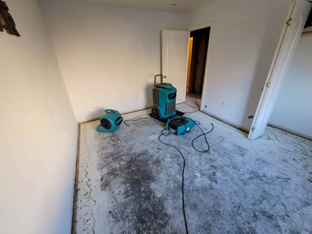 Best Fire Damage Restoration  in Bear Creek Ranch, TX
