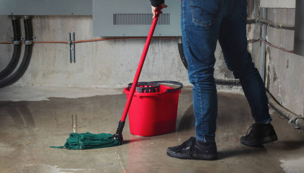 Best 24/7 water damage repair  in Bear Creek Ranch, TX