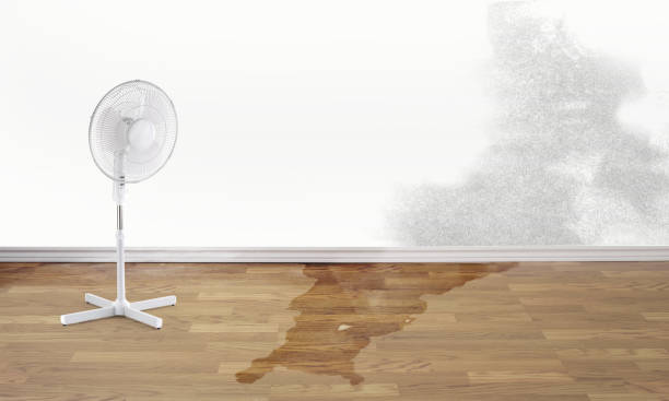 Best Water damage mitigation services  in Bear Creek Ranch, TX