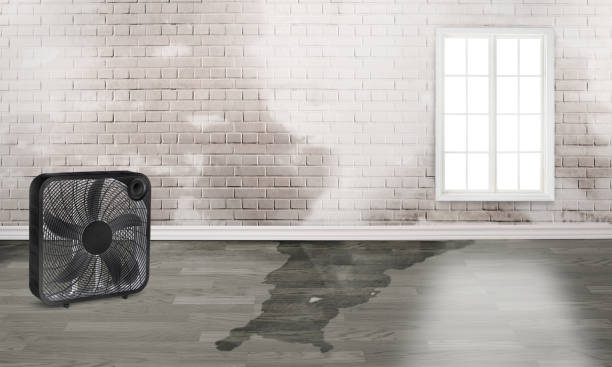 Best Ceiling water damage repair  in Bear Creek Ranch, TX
