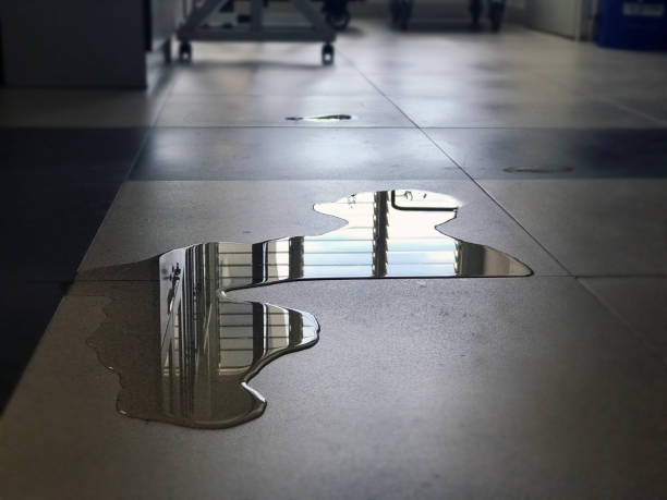 Best 24-hour water damage restoration  in Bear Creek Ranch, TX