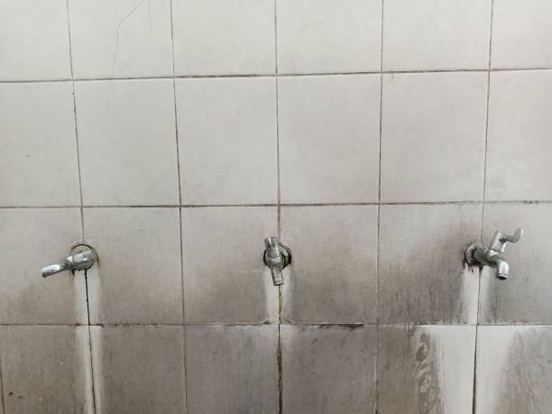 Best Flood damage cleanup  in Bear Creek Ranch, TX