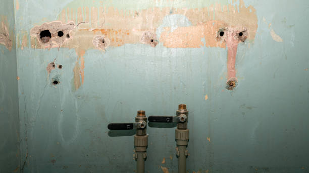 Best Water damage restoration insurance claims  in Bear Creek Ranch, TX