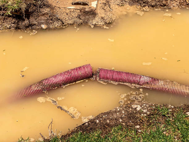 Best Emergency water damage restoration  in Bear Creek Ranch, TX