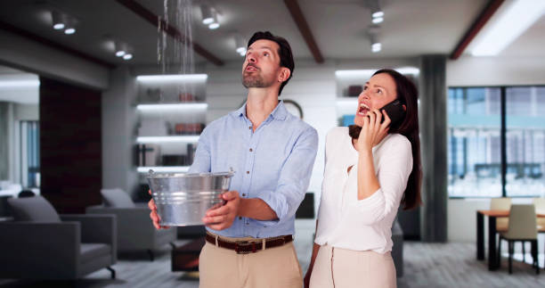 Best Carpet water damage restoration  in Bear Creek Ranch, TX