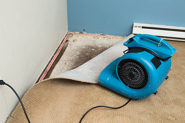 Best Emergency water damage restoration  in Bear Creek Ranch, TX